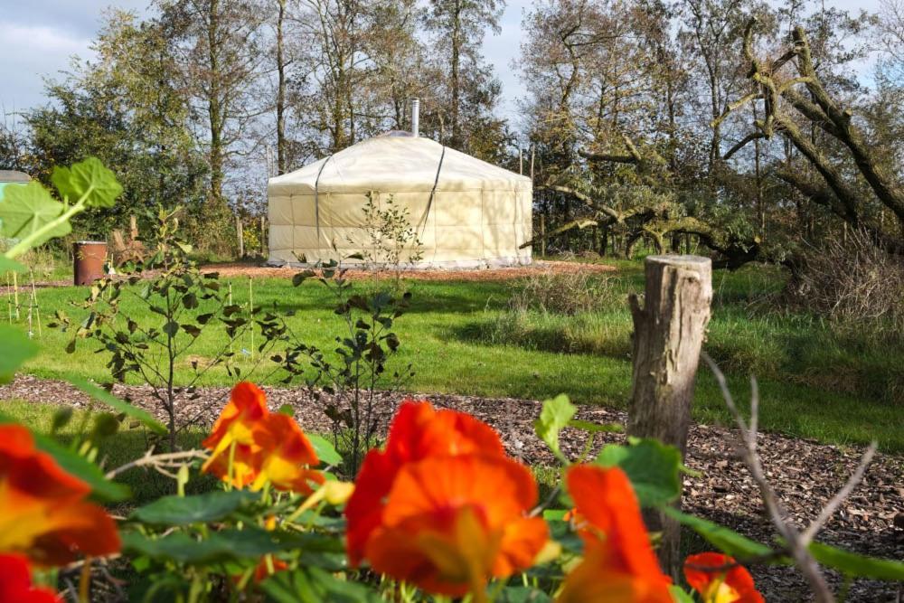 Yurt Klyndobbe Bed & Breakfast Veenwoudsterwal Exterior photo